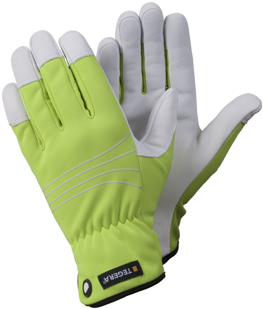 HANDSCHOEN TEGERA 290 (1PR)