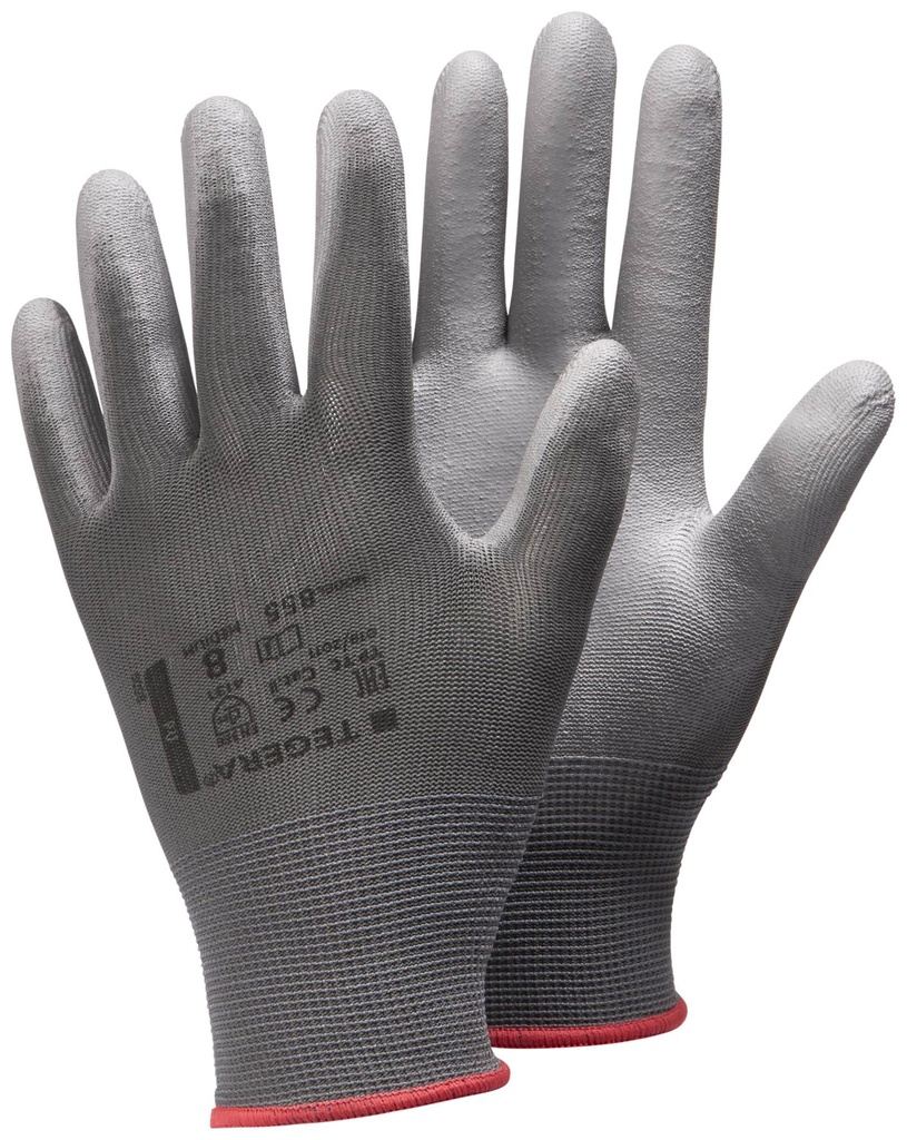 GANT TEGERA 855 (1PR)